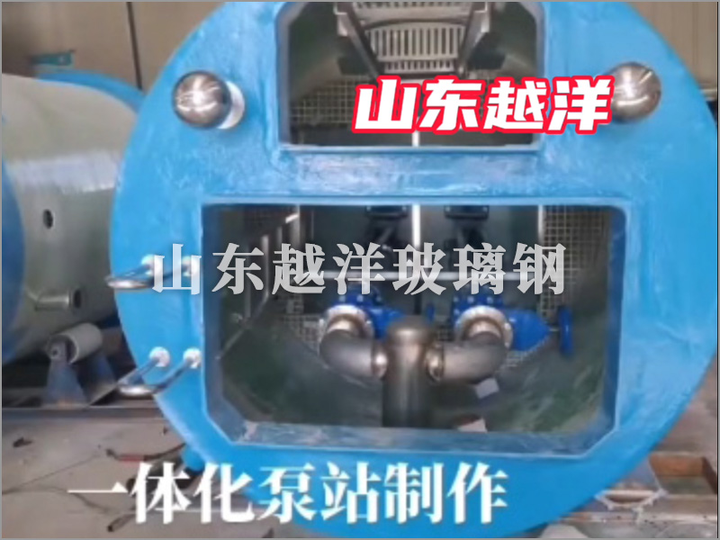 山东越洋一体化泵站生产制作